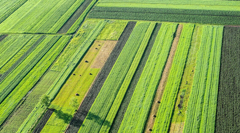 اراضی خالصه